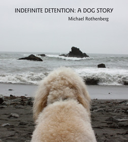indefinite detention cover